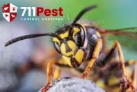 711 Bee And Wasp Removal Canberra image 3